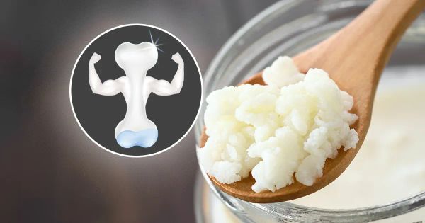 Este alimento "vivo" podría ser el secreto para prevenir la osteoporosis