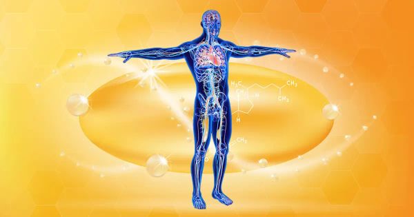 La vitamina que su sistema circulatorio necesita para no colapsar