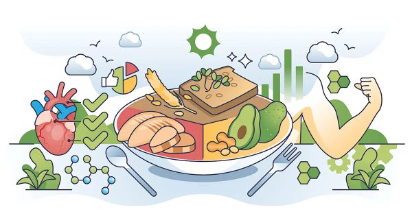 ¿Su metabolismo está estancado? Esta nueva perspectiva lo está cambiando todo