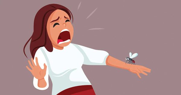 Hay algo en su cuerpo que atrae a los mosquitos y podría ponerlo en riesgo sin que usted lo sepa