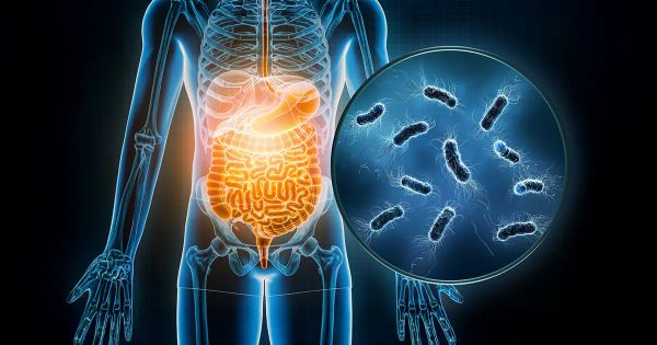 Cuando el intestino pierde equilibrio, incluso las bacterias “buenas” pueden dañarlo