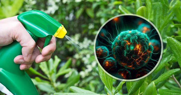 Lo que millones consumen a diario sin saber que dispara el cáncer en múltiples órganos