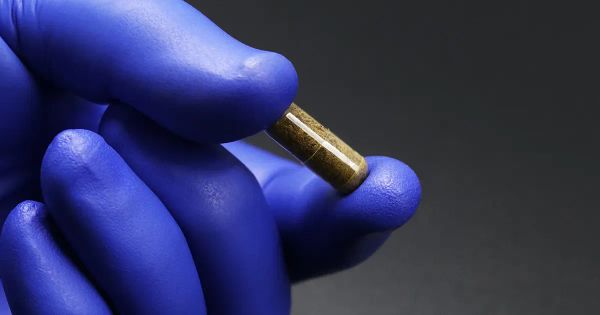 La terapia que restaura la diversidad y desactiva infecciones persistentes