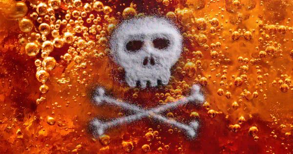 ¿Qué ocurre en su intestino segundos después de ese primer sorbo?