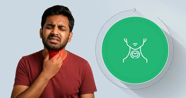 ¿Qué función vital cumple este relieve del cuello que casi nadie explica?