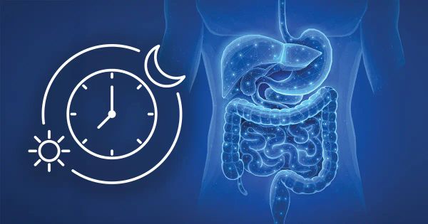 Su intestino depende de un "proceso de reparación silencioso" que se pierde con estos hábitos cotidianos