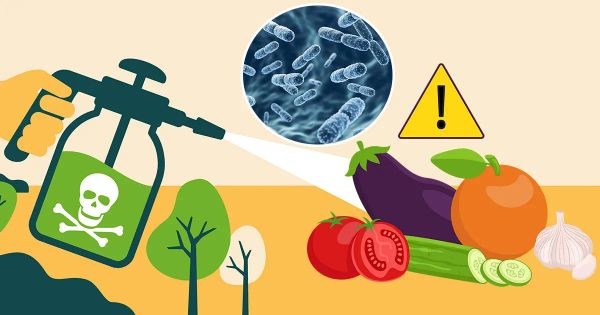 Exposición diaria, daño acumulativo: el frente oculto de la enfermedad moderna