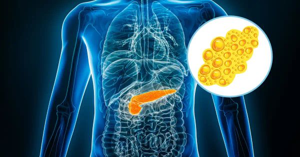 Esta grasa “fantasma” está afectando su capacidad cognitiva