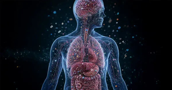 Los microplásticos ya están en su cuerpo: esto es lo que la ciencia sabe sobre sus riesgos