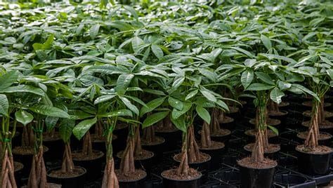 Welcome to The Financial Healing Project