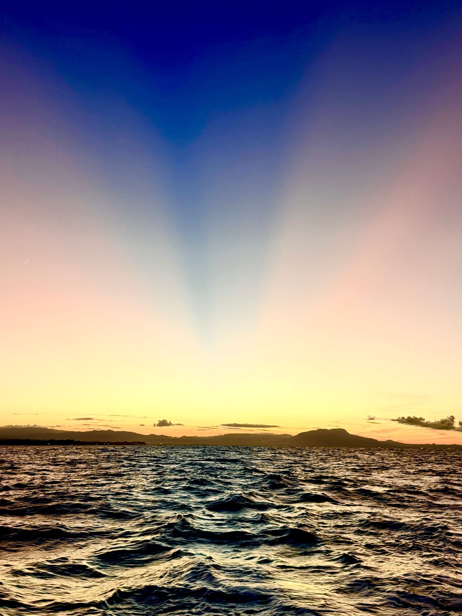 Thanksgiving in Samana: A Meditation on Gratitude, Smugness, and mild Caribbean Terror