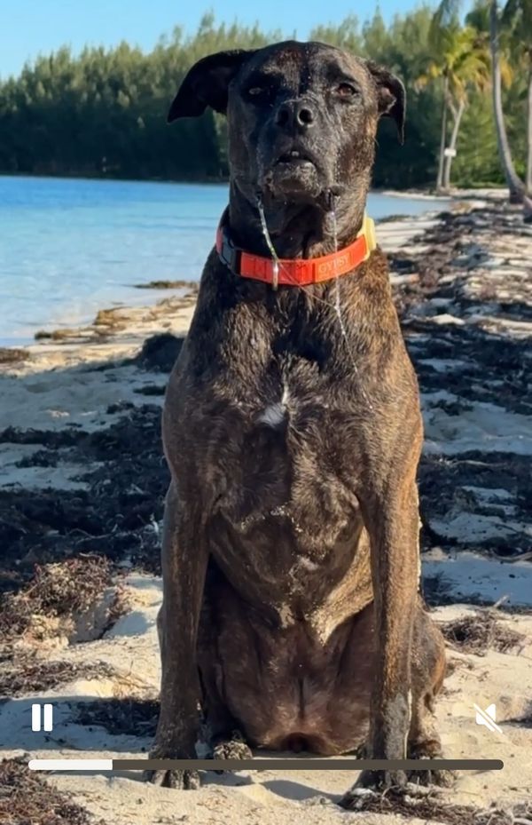 We made it to the Bahamas!