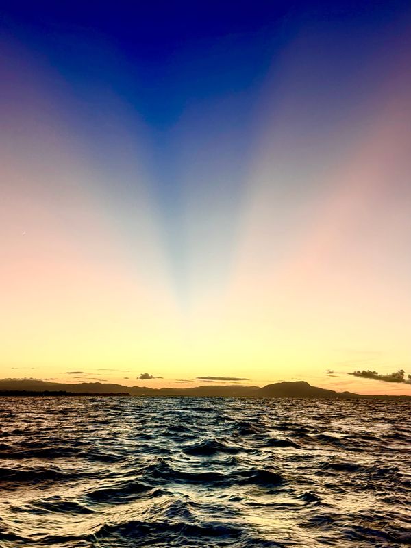 Thanksgiving in Samana: A Meditation on Gratitude, Smugness, and mild Caribbean Terror