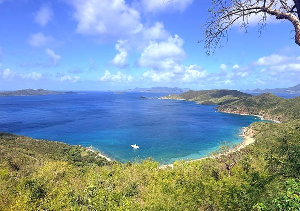 How to Lose Several Mermaids, and your Nerves in Open Water