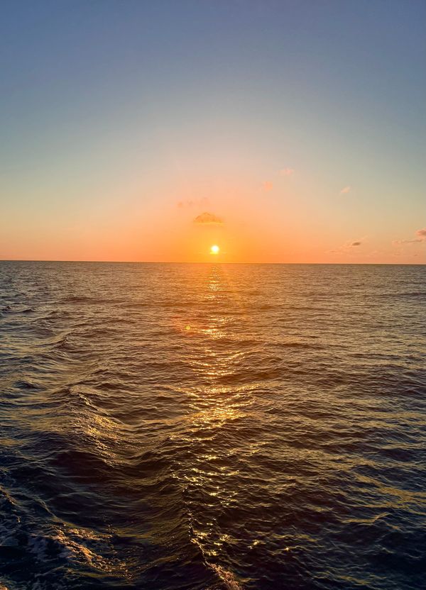 The Atlantic Ocean Is Trying to Return Us to Sender