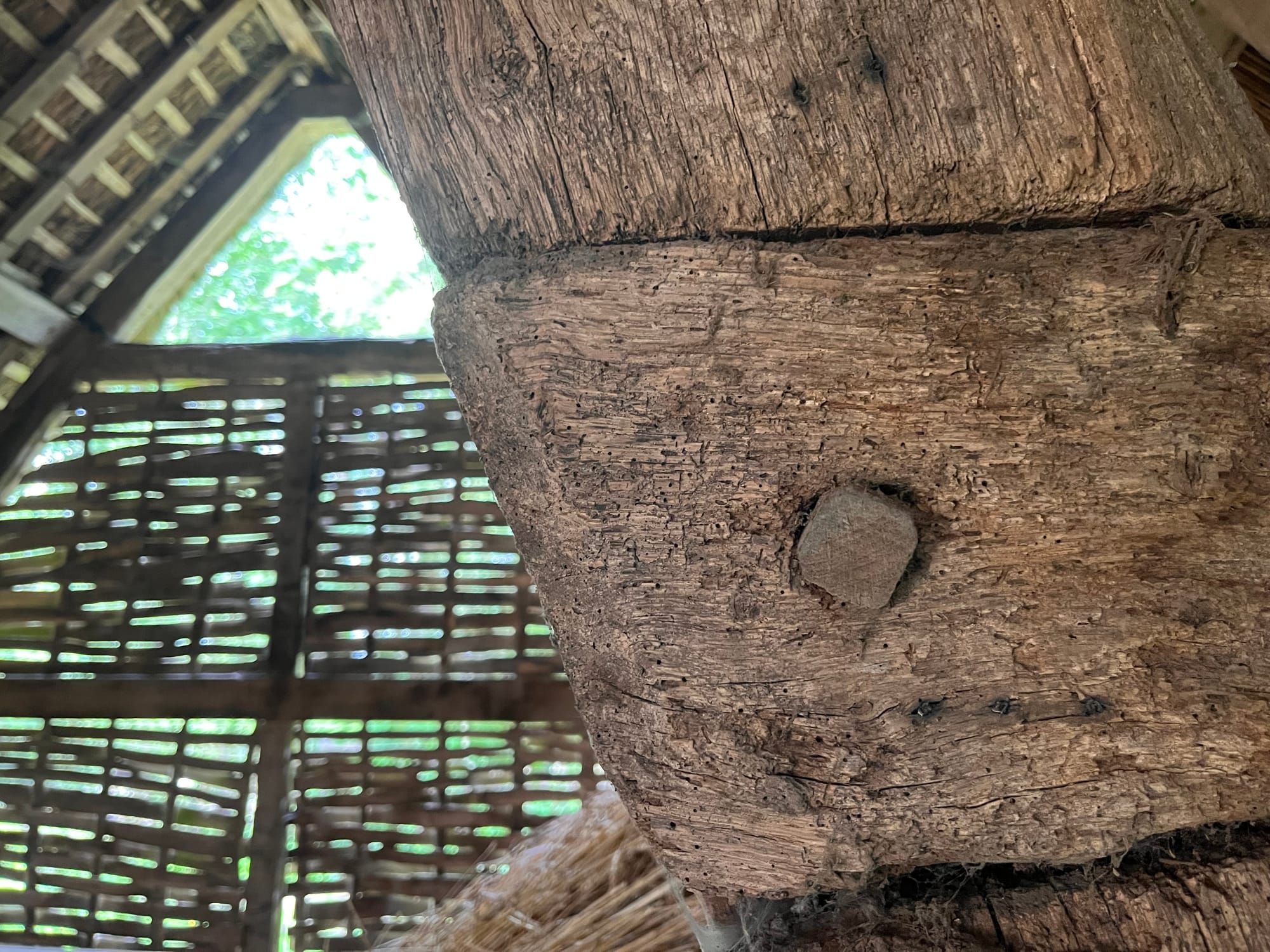 Square Peg in a Round Hole