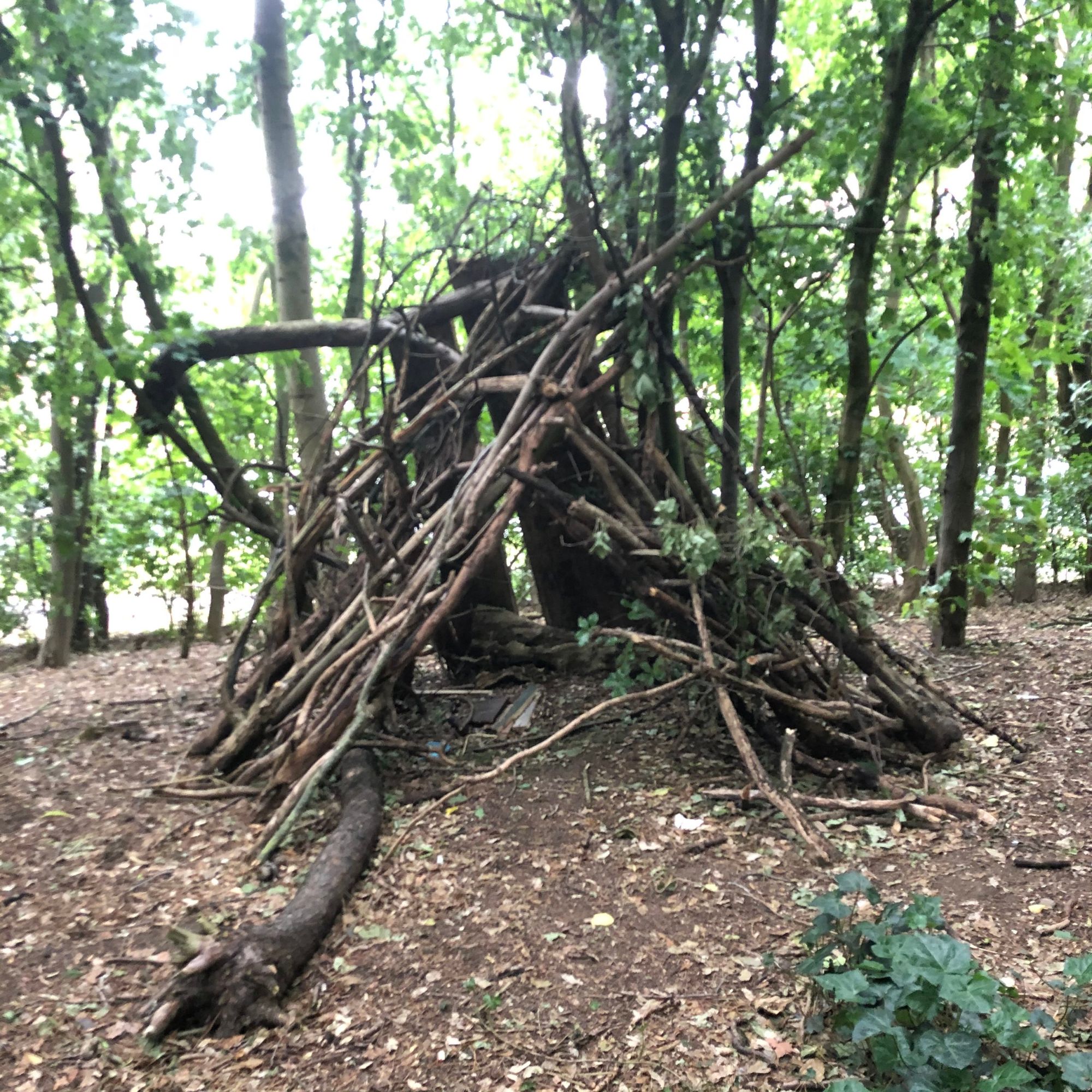 Dens