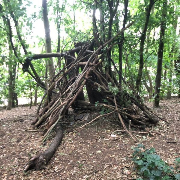 Dens