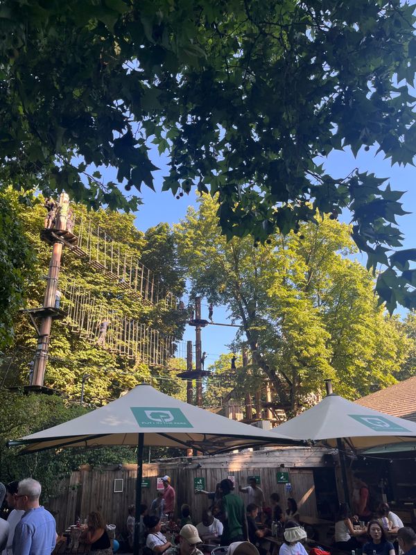 Go Ape