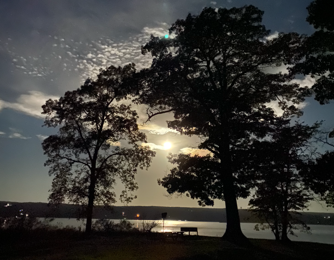 The full moon shines brightly between two trees and some cirrocumulus clouds, still high in the sky at 5 AM.