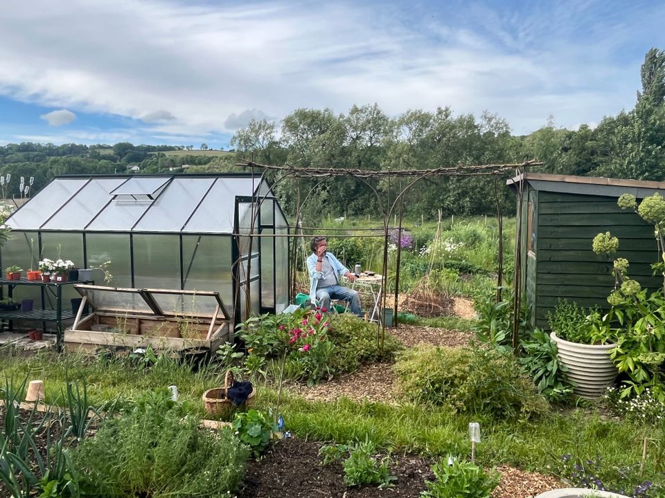 A photo of our greenhouse, shed and a few of the veggies we grow