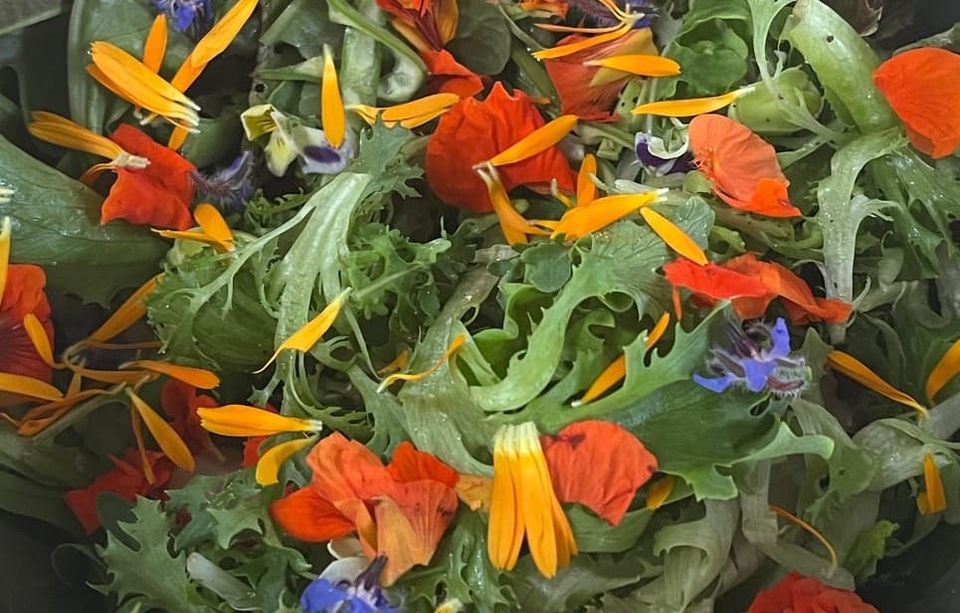 Friends, Roots, and Open Doors