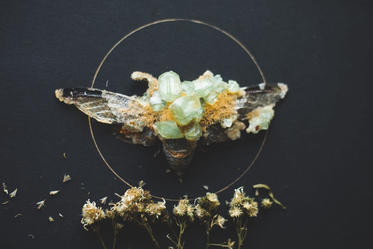 Creation and Confidence