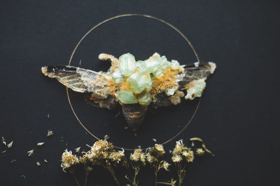 Creation and Confidence