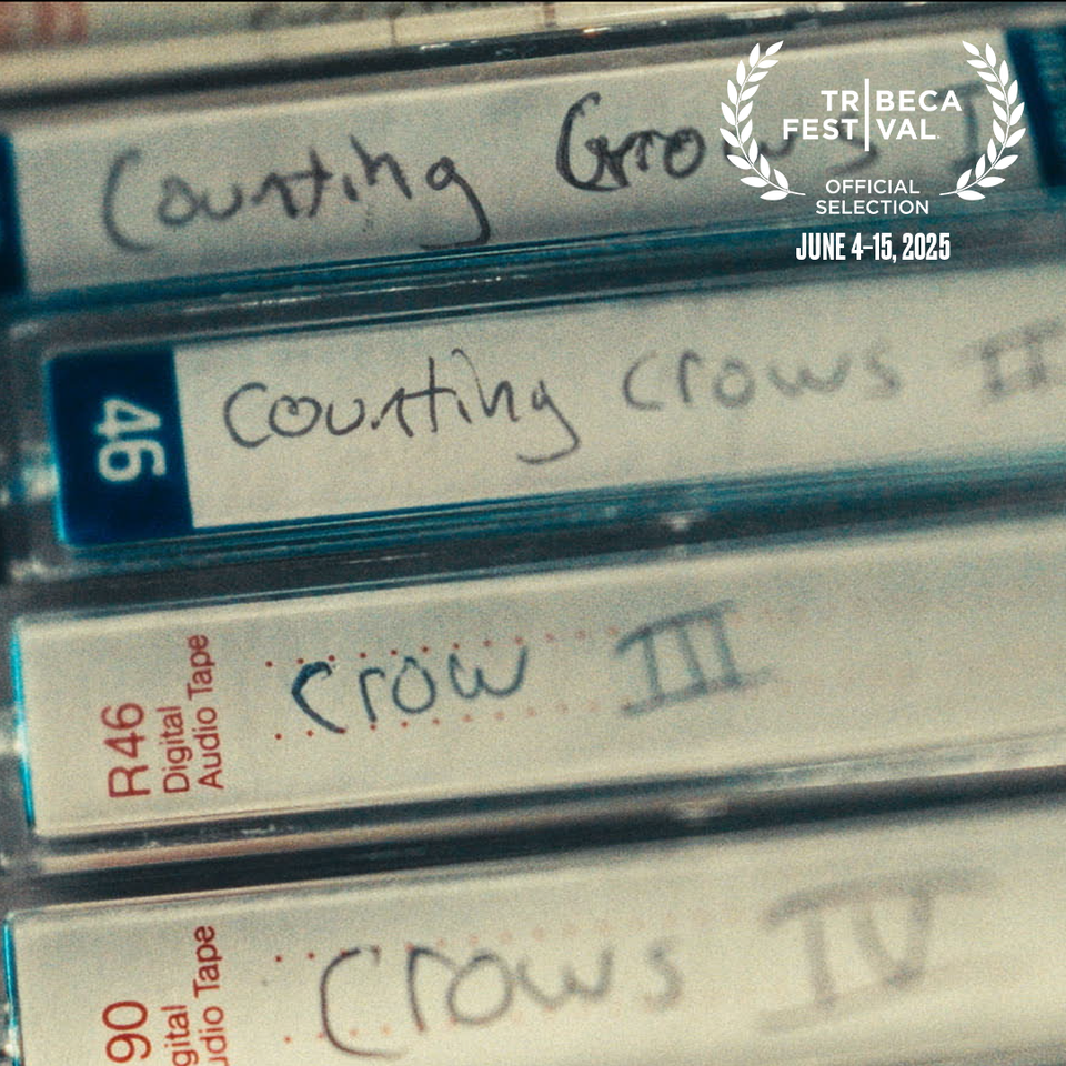 Recounting the Crows