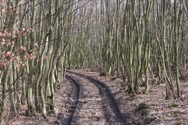 Zentralalpenweg Day 3 (20.9km)