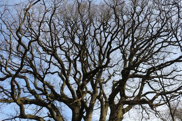 Zentralalpenweg Day 4 (26km)