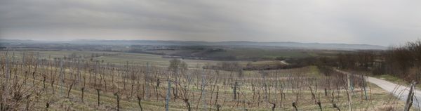 Zentralalpenweg Day 5 (25.6km)