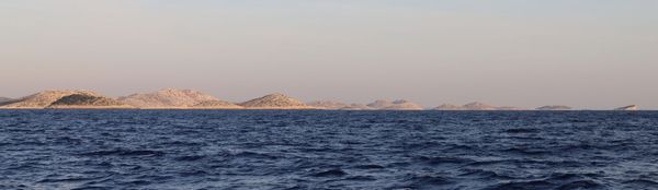 Bowie Croatian Week 2021