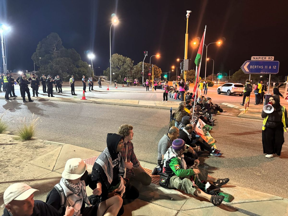 Pro-Palestinian activists arrested at Fremantle Port picket