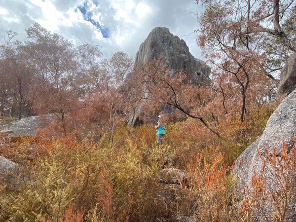 Someone, please invade Perth