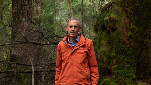 Lessons from Lutruwita