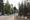 'One way out': Spokane fire evacuees fled and faced gridlock