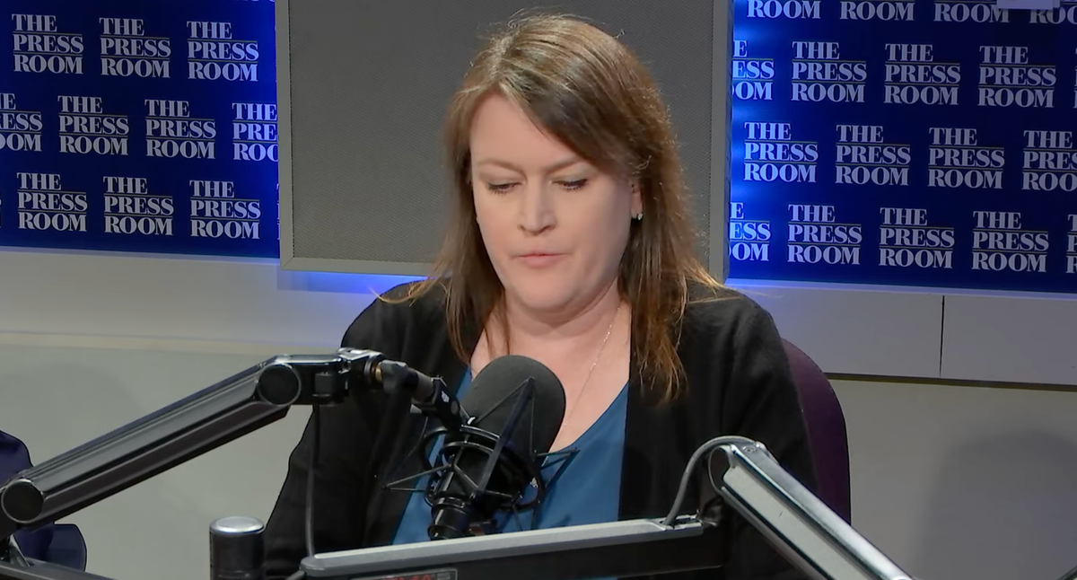 Watch: Spotlight co-founder Schmidt on AZPM's The Press Room