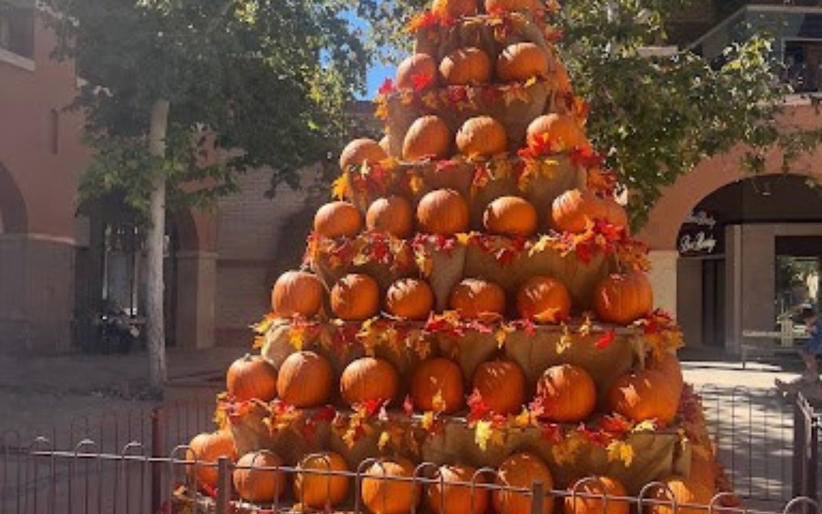 Fall fun and frights return across Tucson