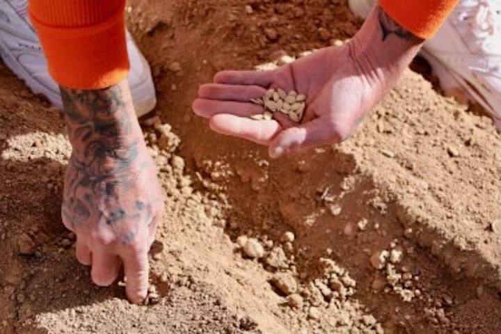 UA’s prison garden program works to grow its future