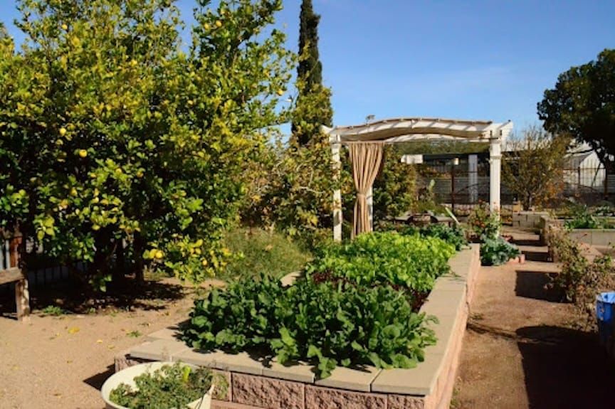 Recortes de SNAP-Ed obligan a Garden Kitchen a reducir sus programas