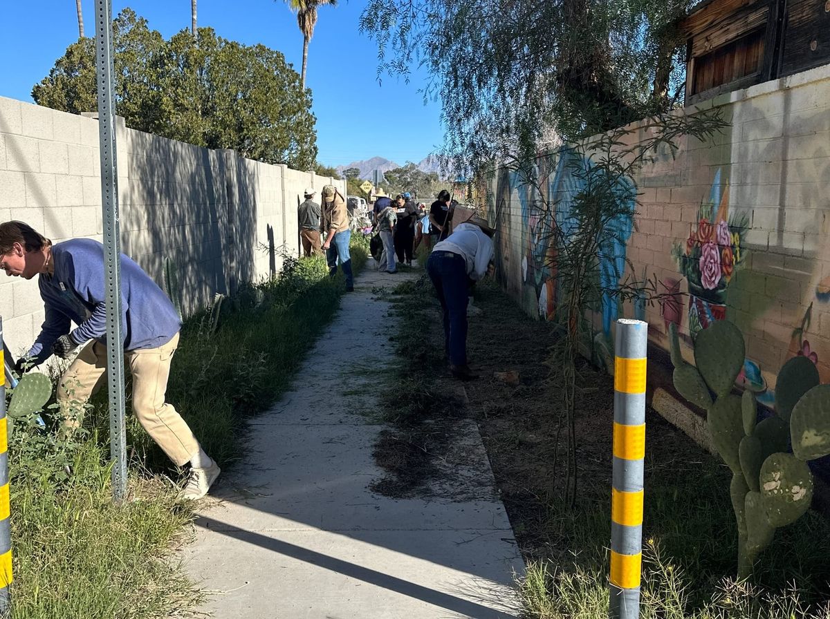 Tucson neighbors transform alley into pollinator garden