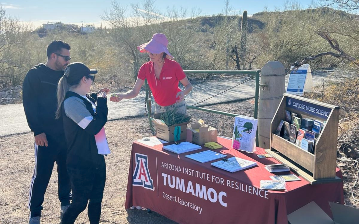 Plant-Stravaganza returns to Tumamoc Hill