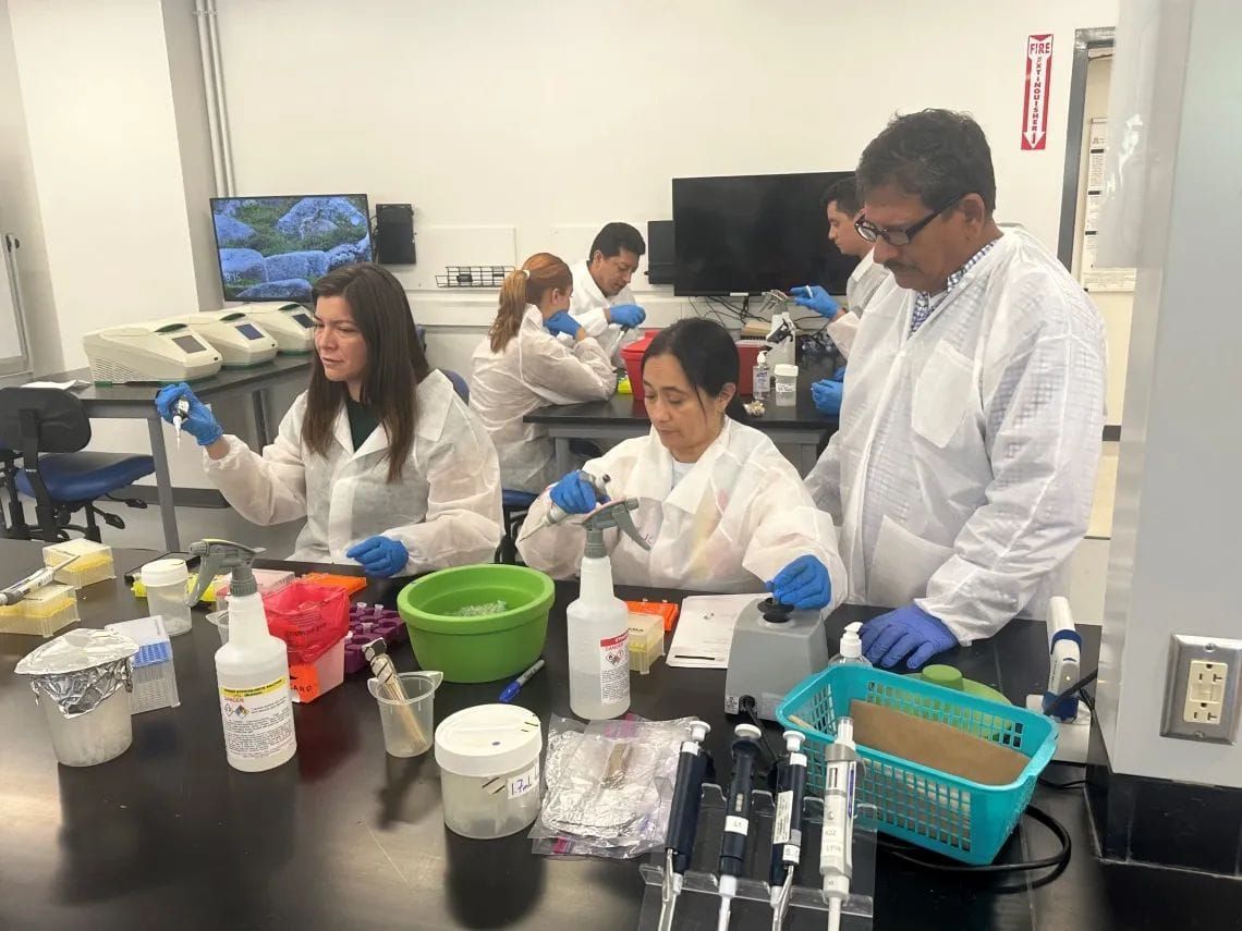 UA impulsa salud global de mariscos con laboratorio