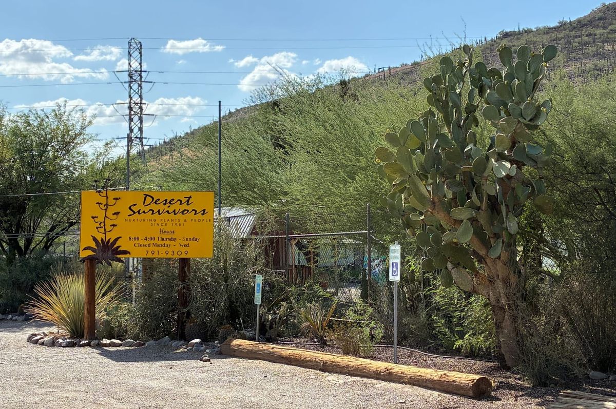 Tucson's Desert Survivors parts ways with director