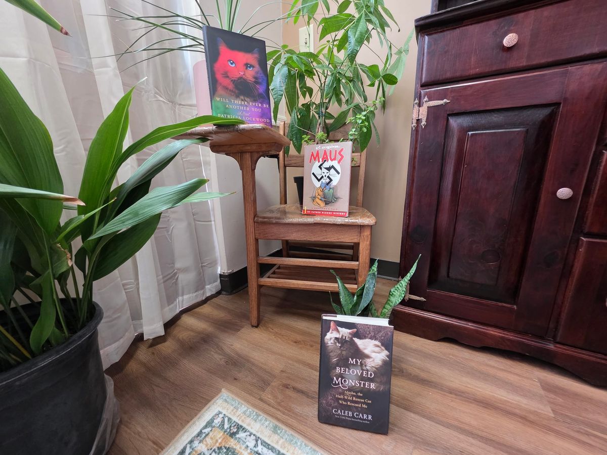 New Tucson bookstore Paper Cat Bookshop opens in November