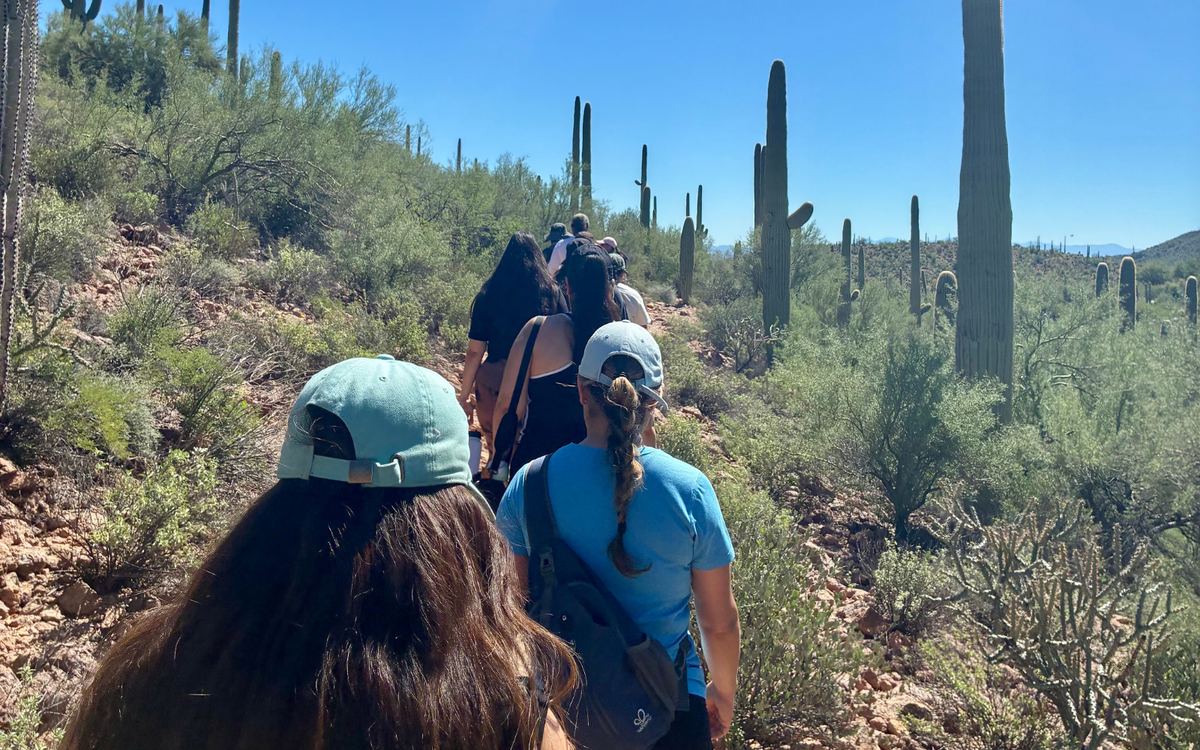 Tucson groups turn climate anxiety into action
