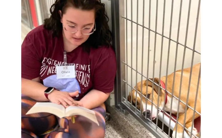 PACC seeks volunteers to calm shelter dogs on Fourth of July
