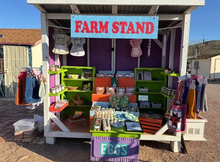 Tucson cat lounge hosts book drive for desert communities