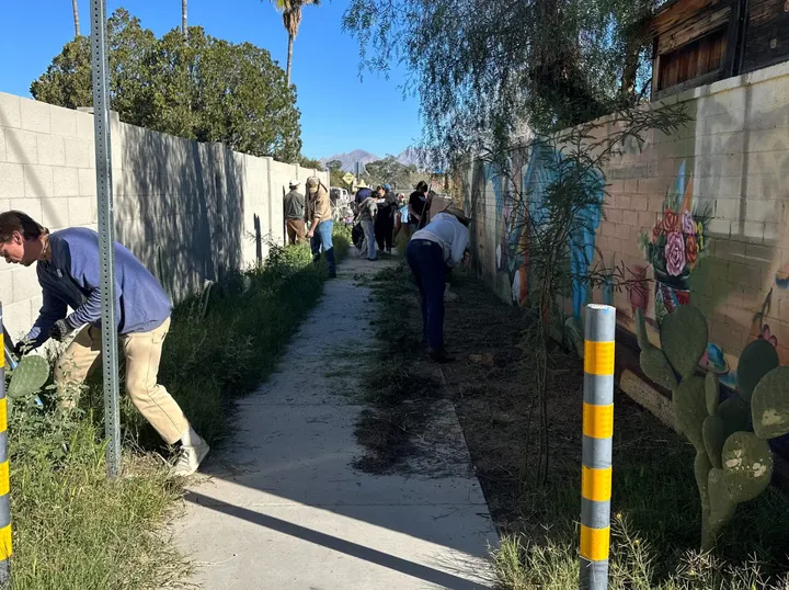 Tucson neighbors transform alley into pollinator garden